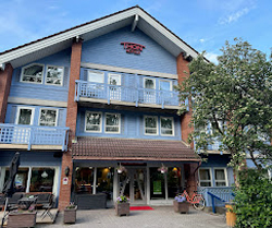 THON HOTEL HALLINGDAL, 