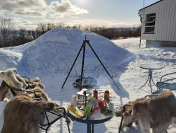 VARANGERTUNET, 